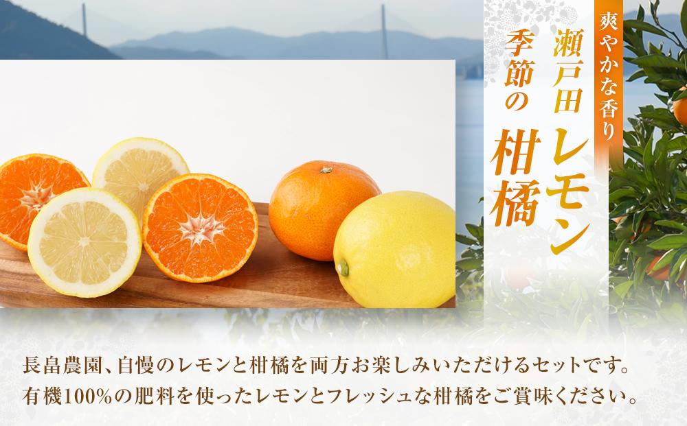 瀬戸田レモン3ｋｇと季節の柑橘2ｋｇ＜2025年11月下旬より発送開始＞【みかん レモン 檸檬  果物 フルーツ 詰め合わせ セット 人気 おすすめ 瀬戸内 広島県  尾道市】