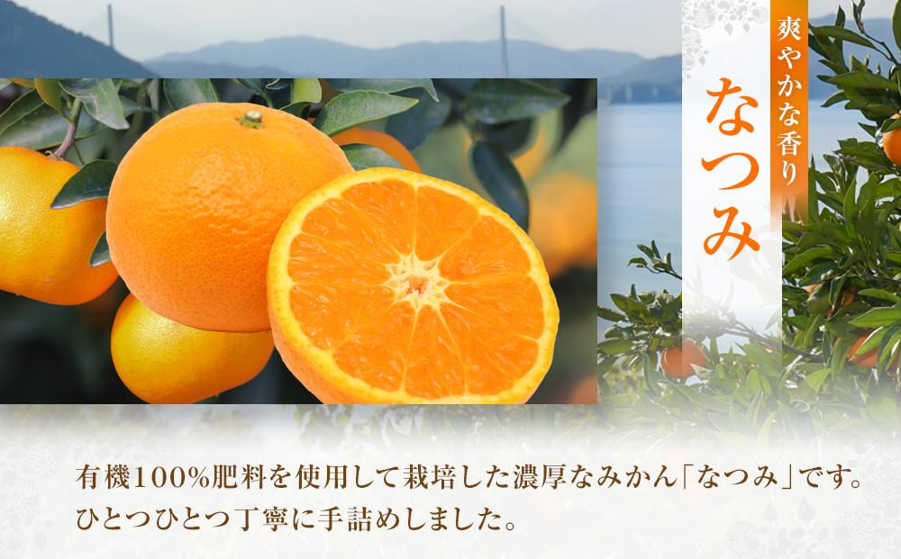☆先行 予約 濃厚すぎるほど濃いみかん　手で剥ける初夏のみかん　なつみ　3ｋｇ＜2026年4月上旬より発送開始＞