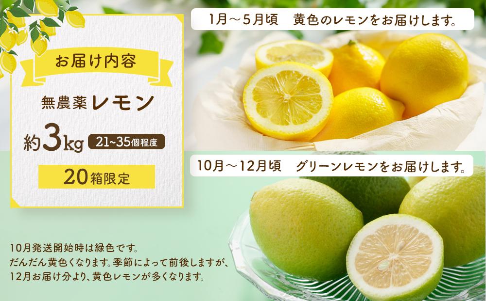 【20箱限定】皮まで美味しい無農薬レモン 約3kg【瀬戸田 瀬戸田レモン 檸檬 瀬戸内レモン フルーツ 柑橘 シトラス 無農薬 有機肥料 防腐剤不使用 レモネード はちみつ 尾道市 広島】