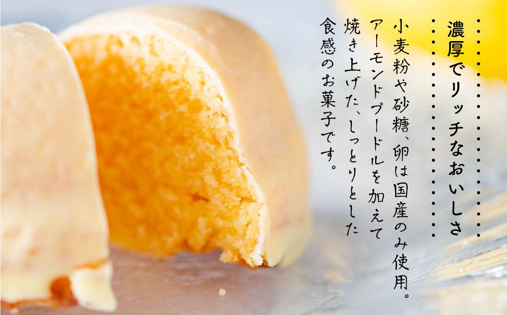 レモンケーキ 10個入り【檸檬 柑橘 お菓子 おかし 洋菓子 果物 くだもの 果汁 フルーツ 国産 デザート スイーツ お取り寄せ グルメ ギフト 人気 おすすめ ご当地 広島県 尾道市】