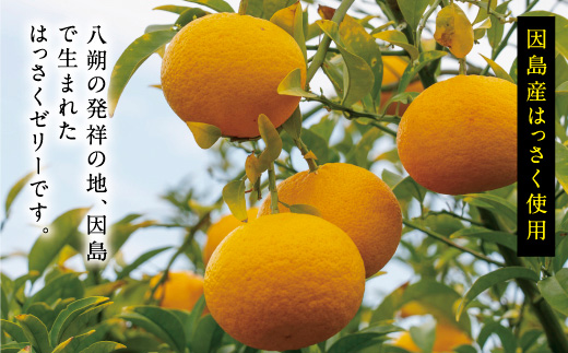 因島のはっさくゼリー72個入り【八朔 はっさく ゼリー 柑橘 みかん オレンジ デザート スイーツ 人気 おすすめ 広島県 尾道市】