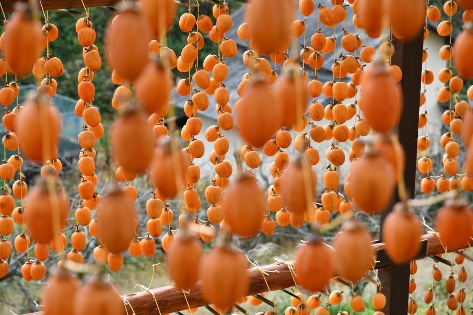 《期間限定》 柿の王様・西条柿の干し柿（特大20個・桐箱入り）【かき 果物 フルーツ 乾物 ほしがき 人気 おすすめ 広島県  尾道市】