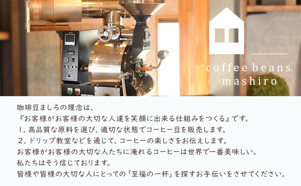 【年内発送】10箱 かわいくてオシャレ『ゆるねこむかいしまコーヒー』スペシャルティコーヒー【コーヒー 珈琲 COFFEE かわいい おしゃれ ゆる ゆるねこ むかいしま むかいしまコーヒー 美味しい 飲料 スペシャルティコーヒー ご当地 広島県 尾道市】