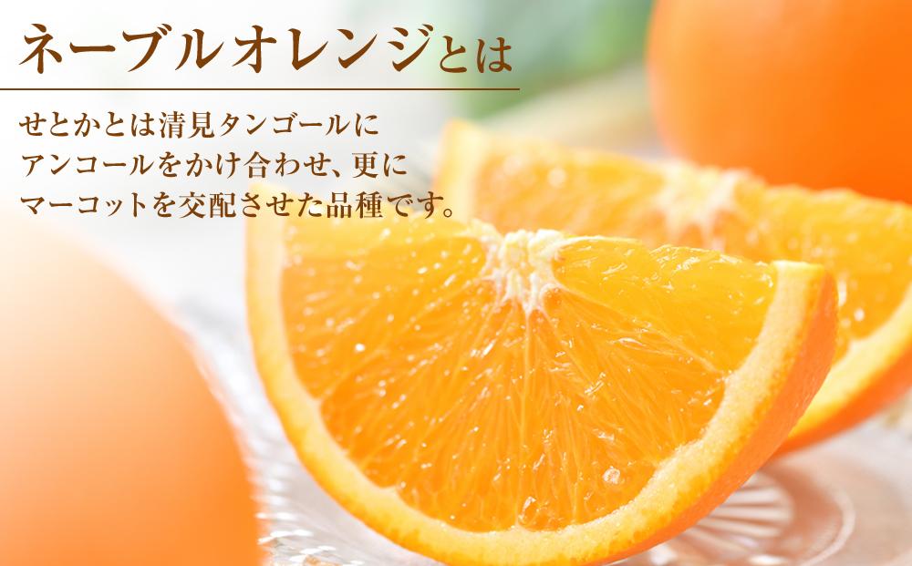 ネーブルオレンジ 約5kg（L・2L・3L）【2026年2月から発送開始】【柑橘 フルーツ 果物 くだもの 食品 人気 おすすめ 広島県 尾道市】
