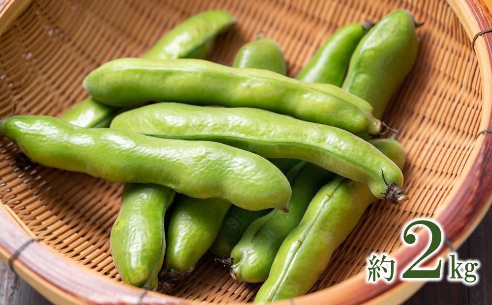 【先行予約】しまのそら豆と新たまねぎセット【瀬戸内 因島 無農薬 尾道 尾道市 広島】