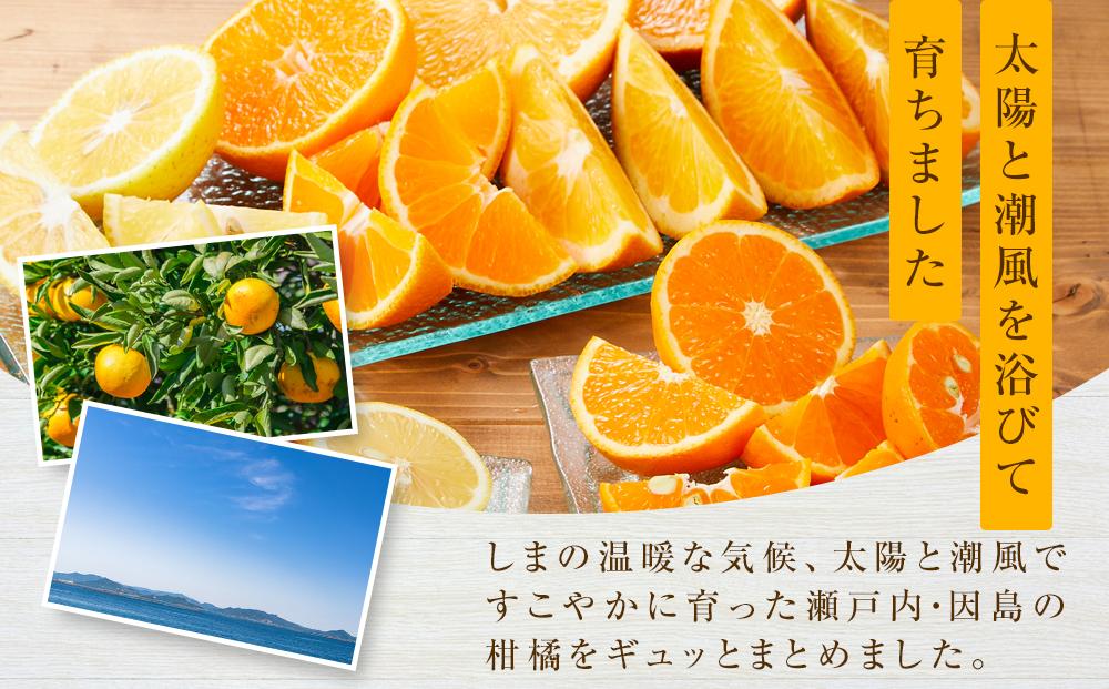 季節の柑橘セット約5kg ＜2026年1月下旬から発送＞【フルーツ 果物 くだもの 食品 人気 おすすめ】