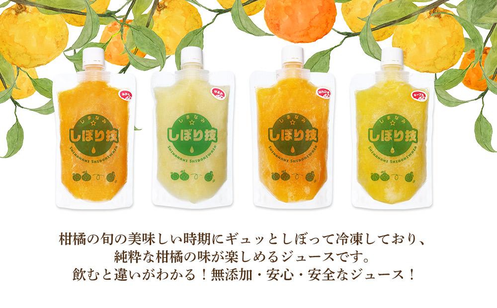 そのまんま100％柑橘ジュース詰合せ10本セット