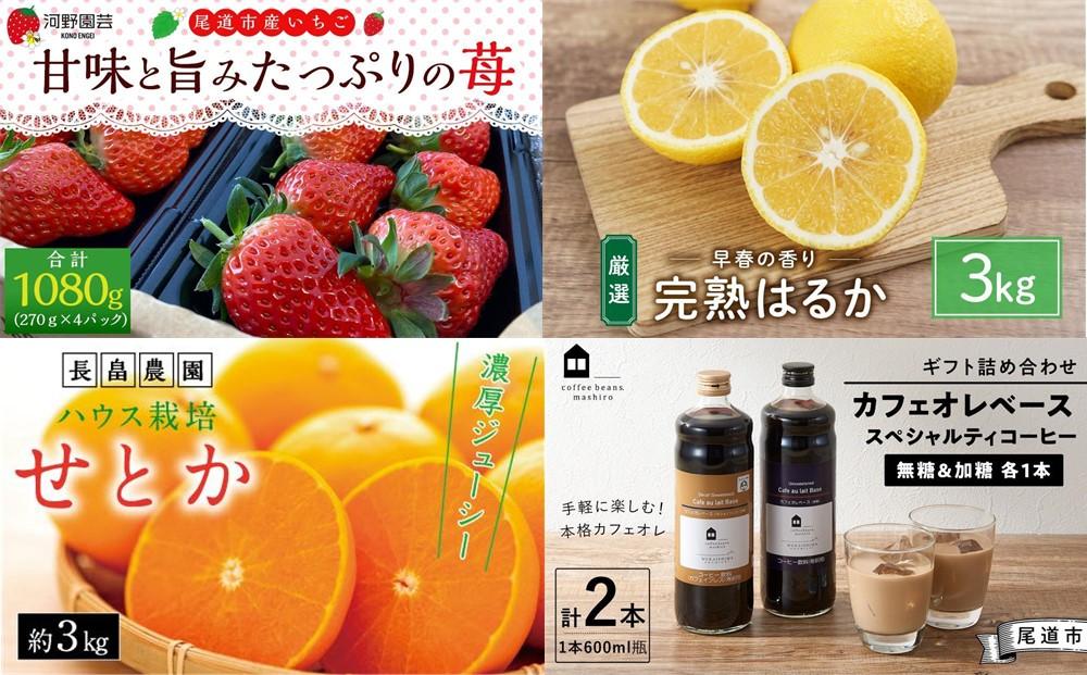 尾道人気グルメ定期便 C【1月～12月まで毎月発送】【せとか いちご ハンバーグ 牡蠣 尾道ラーメン ピザ アイス コーヒー 手羽先 広島県 尾道市】