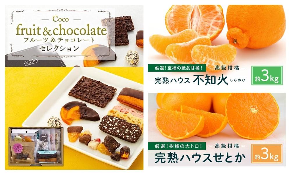 尾道スィーツ・柑橘定期便【1月～6月まで毎月発送】【チョコレート せとか しらぬい 不知火 チーズケーキ シャーベット ジェラート 広島】