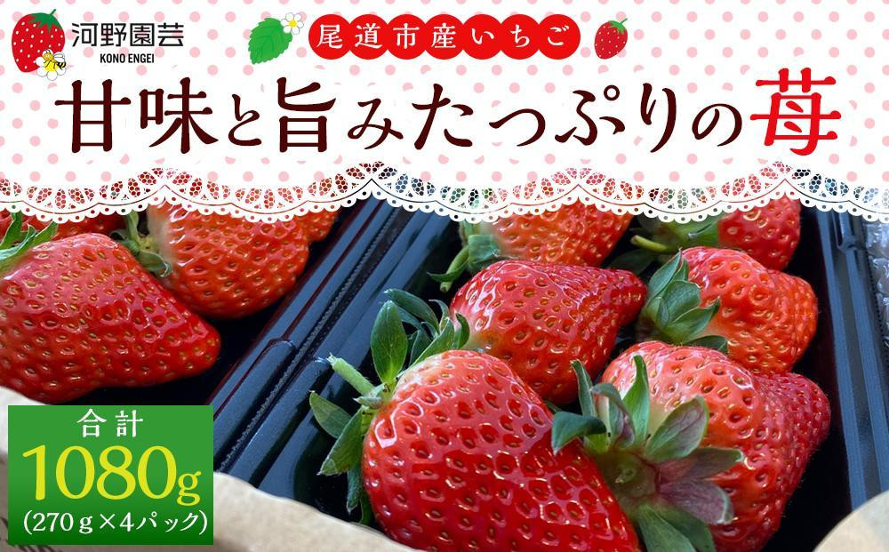 ★まるごと尾道定期便 C★【1月～12月まで毎月発送】