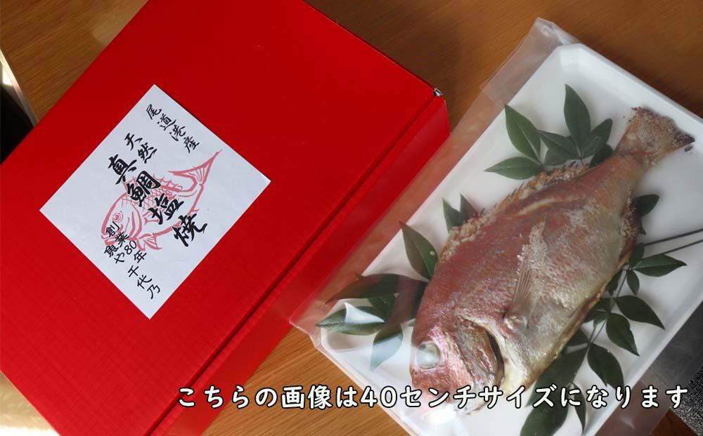 天然真鯛の塩焼き５尾 ～お祝い・お食い初め等におすすめ～【お祝い ギフト お食い初め 尾道市 鯛 塩焼き 真鯛】