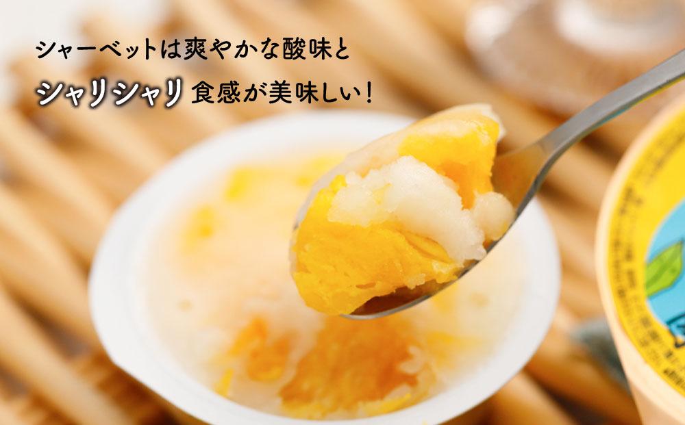 因島のはっさくシャーベット(未凍結）とゼリーの詰め合わせA （シャーベット5個、ゼリー12個）【17個セット ひろしま銘菓 八朔 はっさくゼリー スウィーツ 菓子 贈り物 土産 広島県 尾道市】