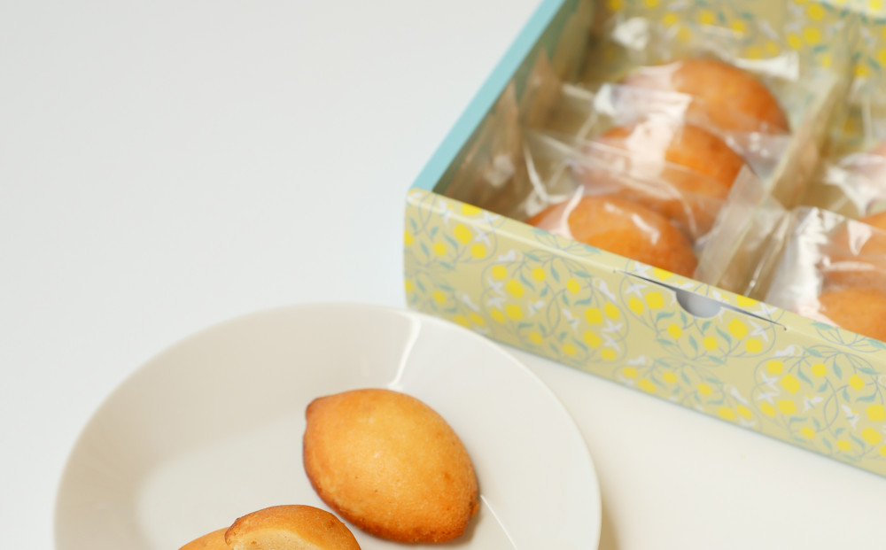 超しっとり！ぜいたくレモンケーキ 12個（6個×2箱）【菓子 おかし 檸檬 柑橘 果物 フルーツ 焼き菓子 スイーツ デザート ギフト 贈答 食品 人気 おすすめ 広島県 尾道市】