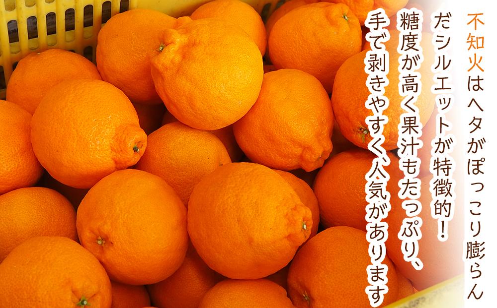 旬の柑橘詰め合わせ（約3kg）2026年3月上旬〜発送予定【みかん せとか しらぬい はるか 柑橘 果物 フルーツ 産地直送 人気 おすすめ 瀬戸内 広島県  尾道市】