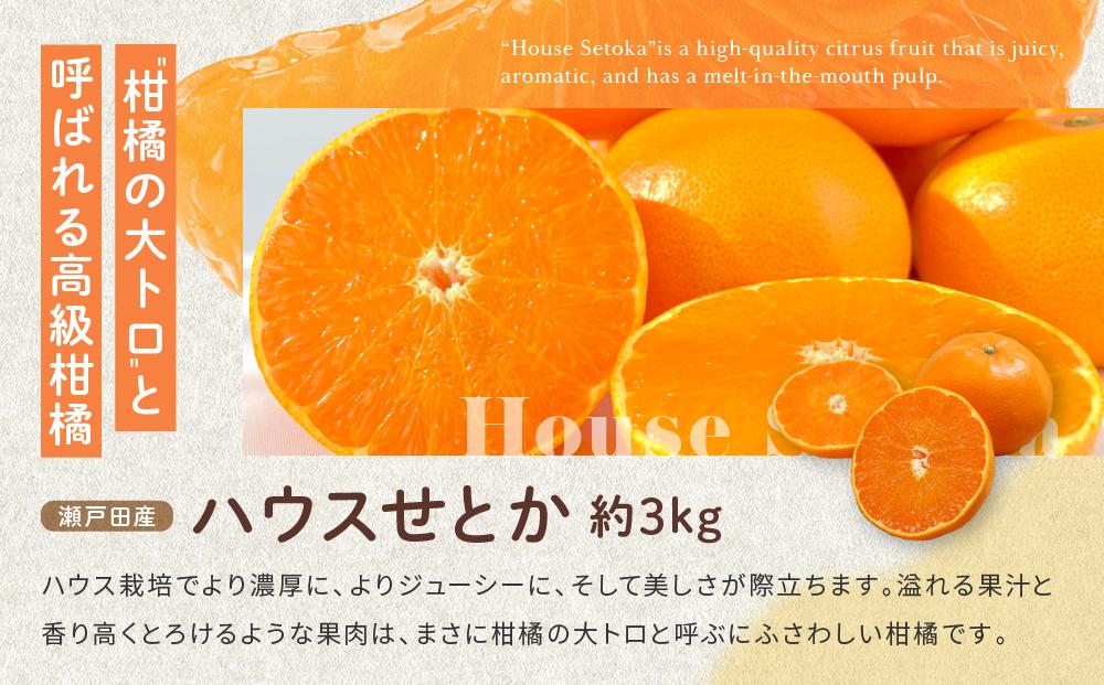 尾道発 厳選！柑橘定期便 全3回 はれひめ ハウスせとか ハウス不知火