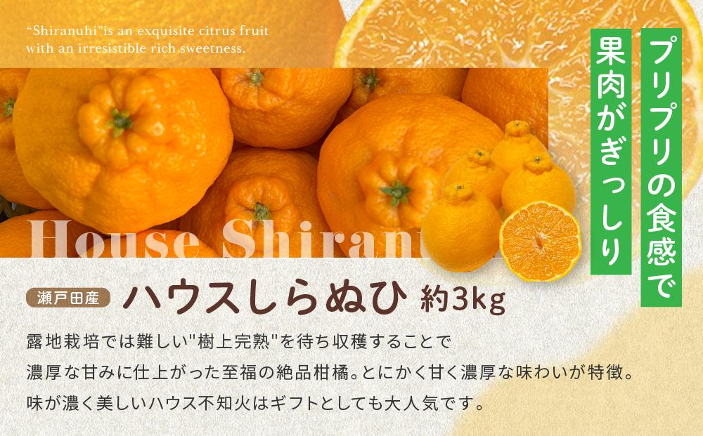 尾道発 厳選！柑橘定期便（全2回）【せとか しらぬい 果物 フルーツ 人気 おすすめ 瀬戸内 広島県  尾道市】