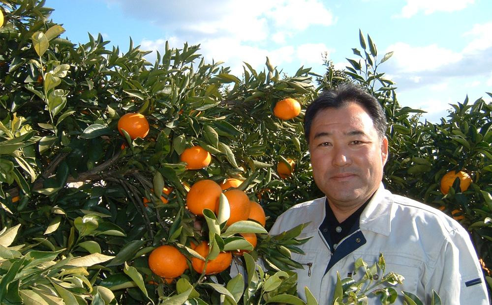 はれひめ「みかんの甘み」と「オレンジの香り」の新品種！5kg