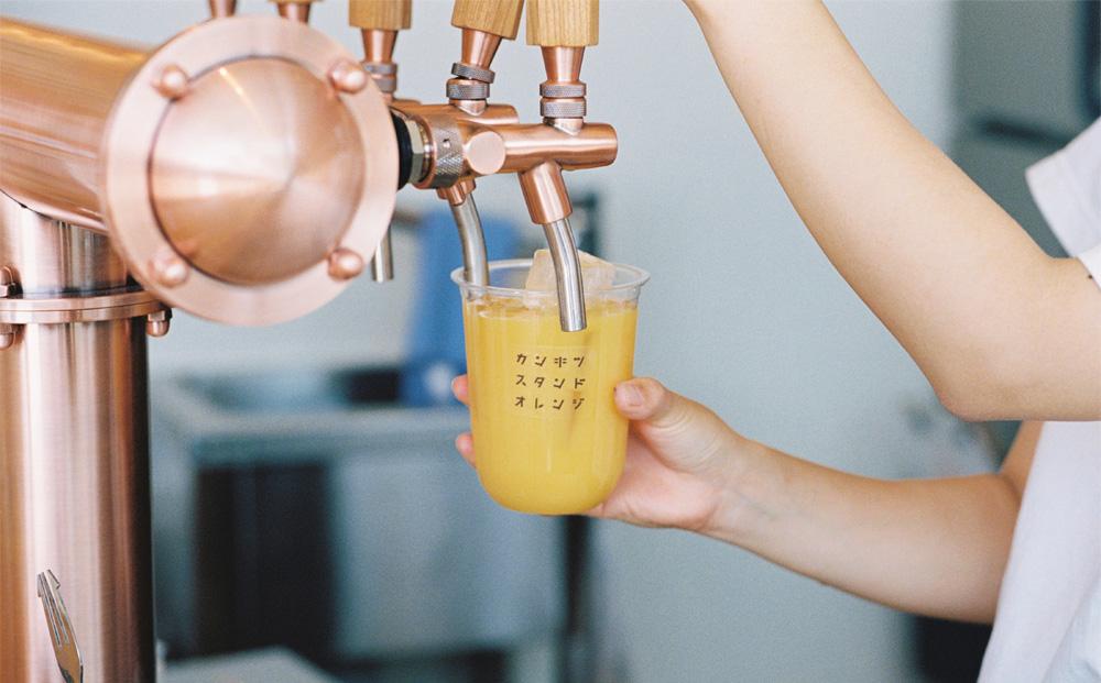 瀬戸内の柑橘100%ストレートジュース旬の大瓶（720ml）2本セット【飲料 野菜ジュース 食品 人気 おすすめ 尾道市】