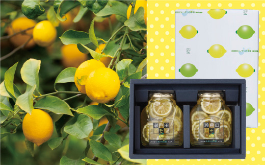 瀬戸田レモン蜂蜜シロップ漬セット【はちみつレモン 檸檬 レモネード おうちカフェ ティータイム 瀬戸内 人気 おすすめ 広島県  尾道市】