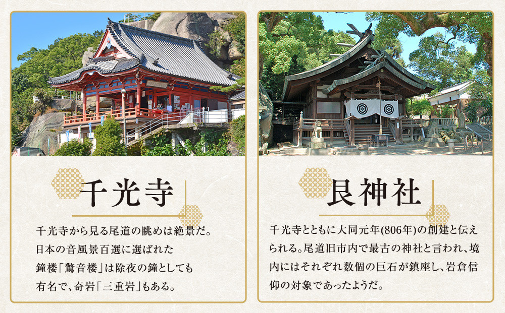 尾道観光尾道三山コース3時間半