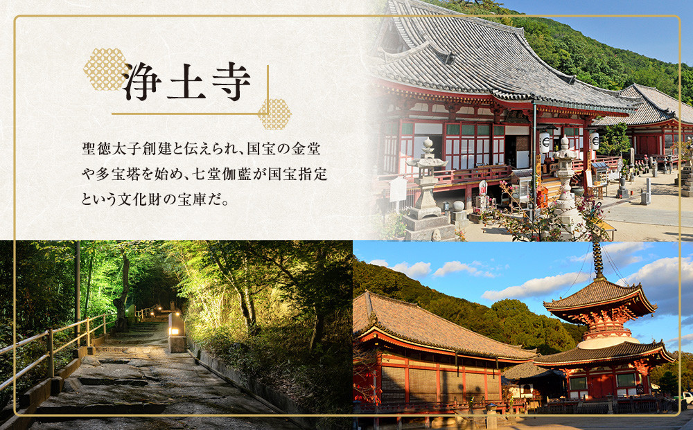 尾道の夜景ちょいとコース1時間