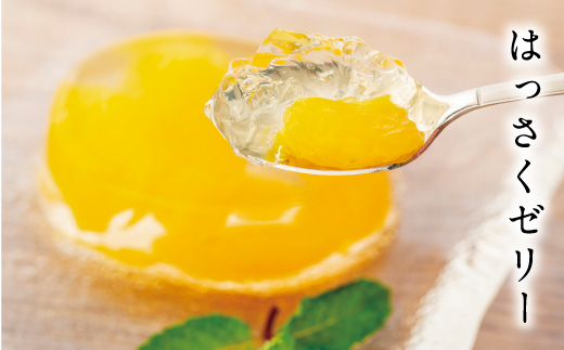 因島のはっさくゼリー72個入り【八朔 はっさく ゼリー 柑橘 みかん オレンジ デザート スイーツ 人気 おすすめ 広島県 尾道市】