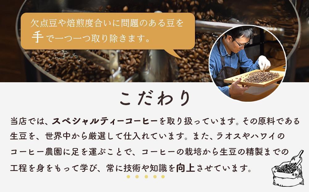 【向島の珈琲豆焙煎所】スペシャルティコーヒー詰め合わせ4【珈琲 豆 粉 選べる 飲料 飲み物  人気 おすすめ 広島県  尾道市】