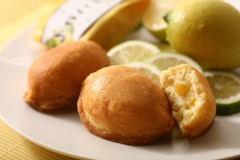 島ごころレモンケーキ＆ネーブルケーキ（各１０個）【広島県尾道市 広島 尾道 ふるさと 納税 支援 レモンケーキ 瀬戸田レモン 焼き菓子 洋菓子 スイーツ お菓子 お取り寄せスイーツ 名産 ご当地スイーツ 支援品 返礼品 特産品 名産品 スウィーツ】