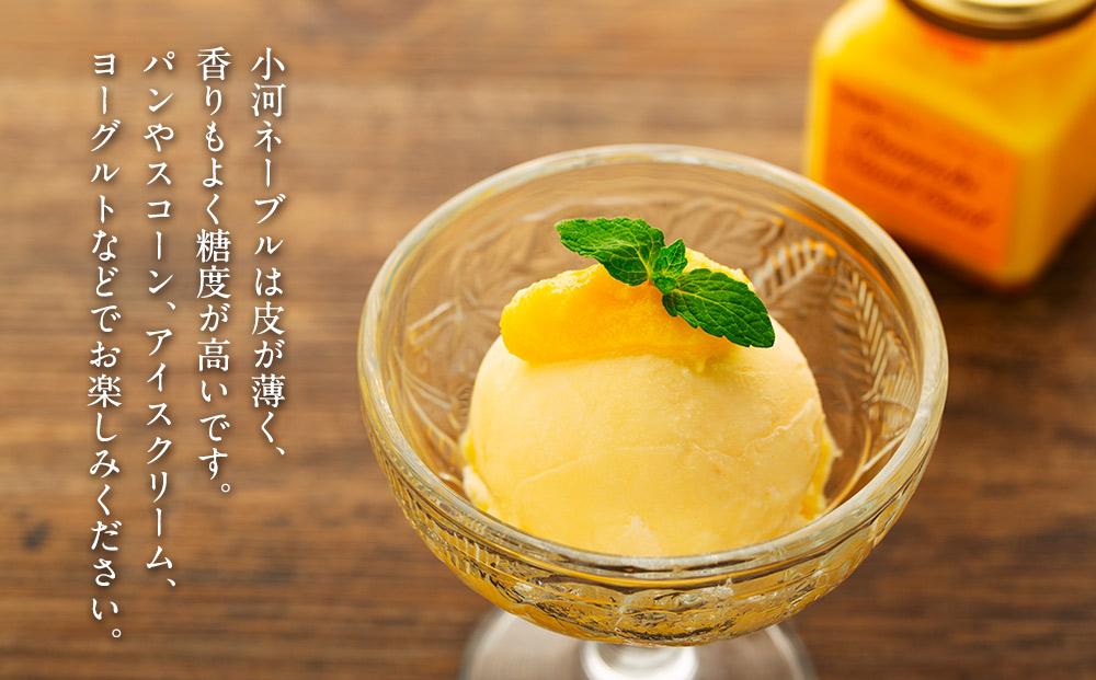 尾道瀬戸田のネーブルカード　3個セット