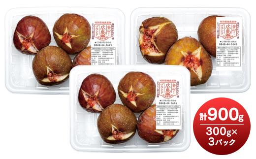 【期間限定】《海辺のいちじく園》日本いちじく  300g×3パック