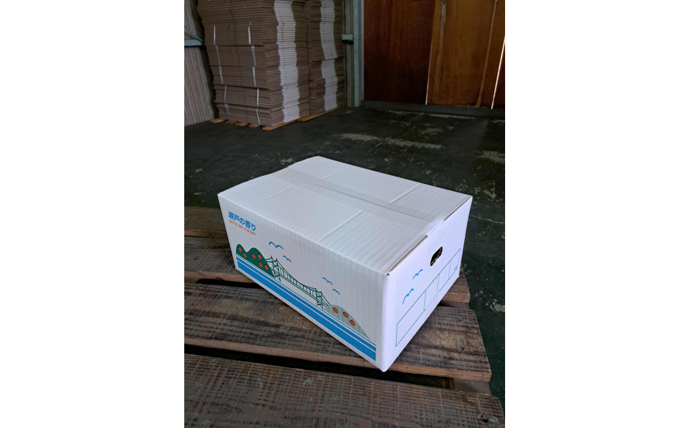 【訳あり】レモン　家庭用　5kg