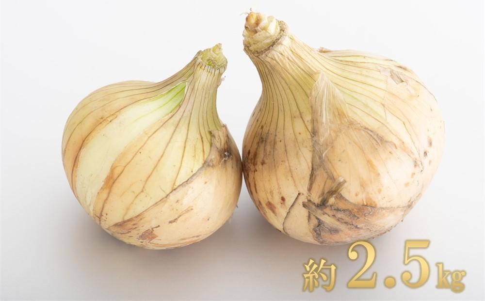 【先行予約】しまのそら豆と新たまねぎセット【瀬戸内 因島 無農薬 尾道 尾道市 広島】