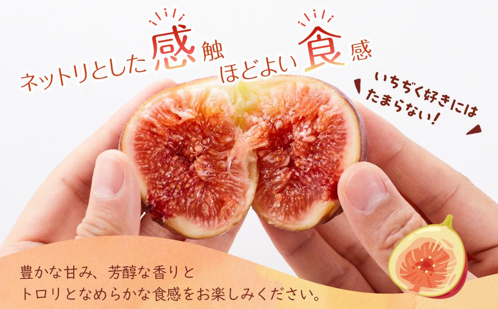 【先行予約】【尾道特産・秋の味覚！しまのいちぢく（訳あり品）】瀬戸内・因島の蓬莱柿（ほうらいし）約320g×5パック【9月より配送】【フルーツ 果物 くだもの 食品 人気 おすすめ】