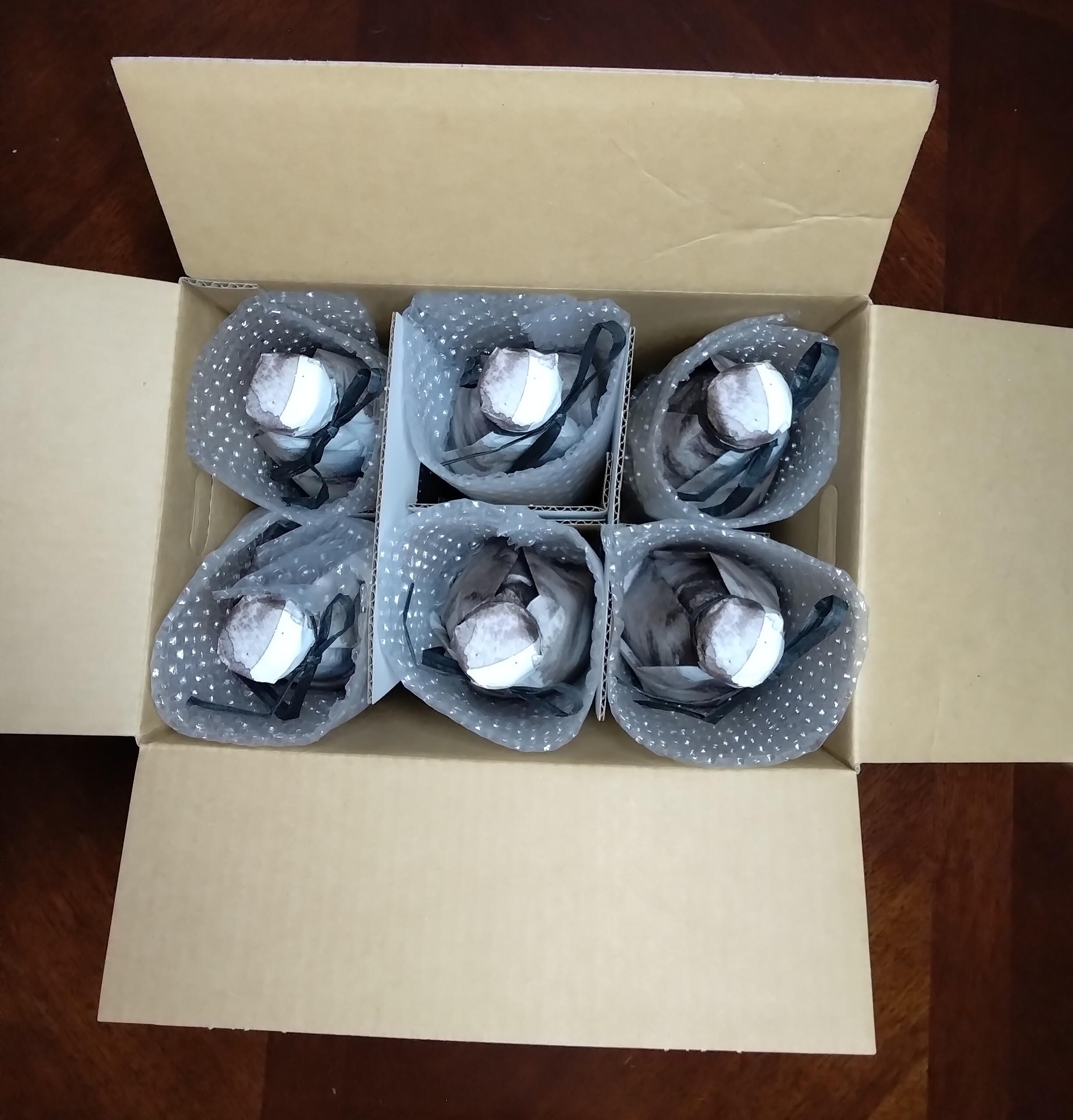 オーガニック清見生絞り 720ml×6本【飲料 果実飲料 ドリンク 食品 人気 おすすめ】