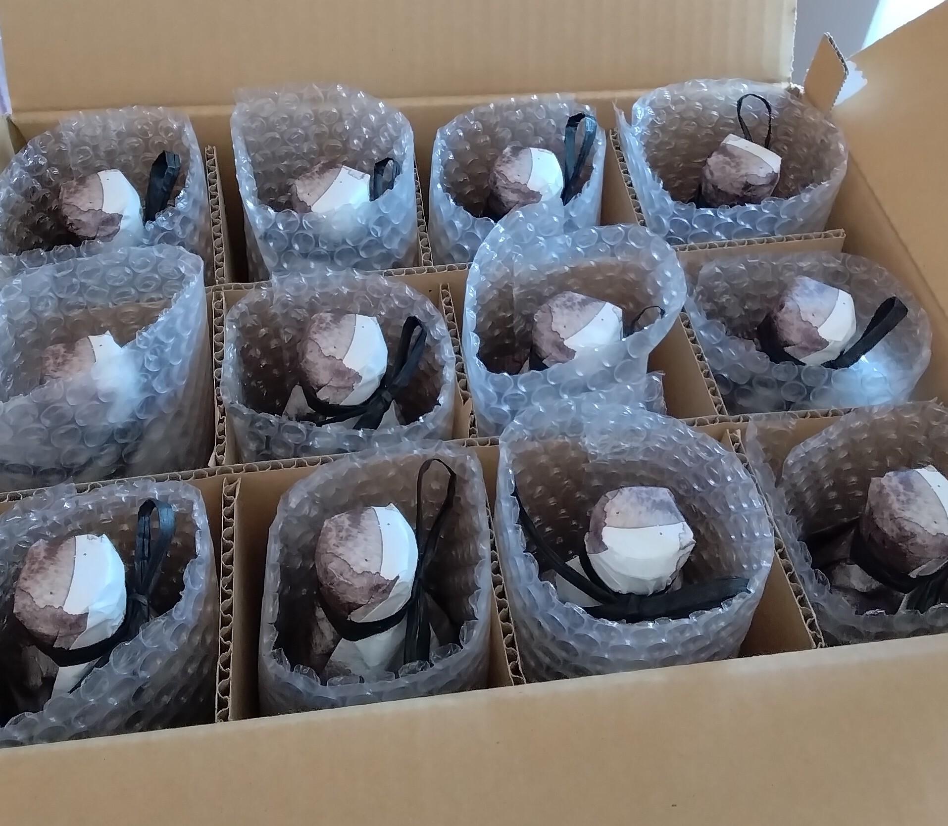 オーガニック清見生絞り 720ml×12本【飲料 果実飲料 ドリンク 食品 人気 おすすめ】