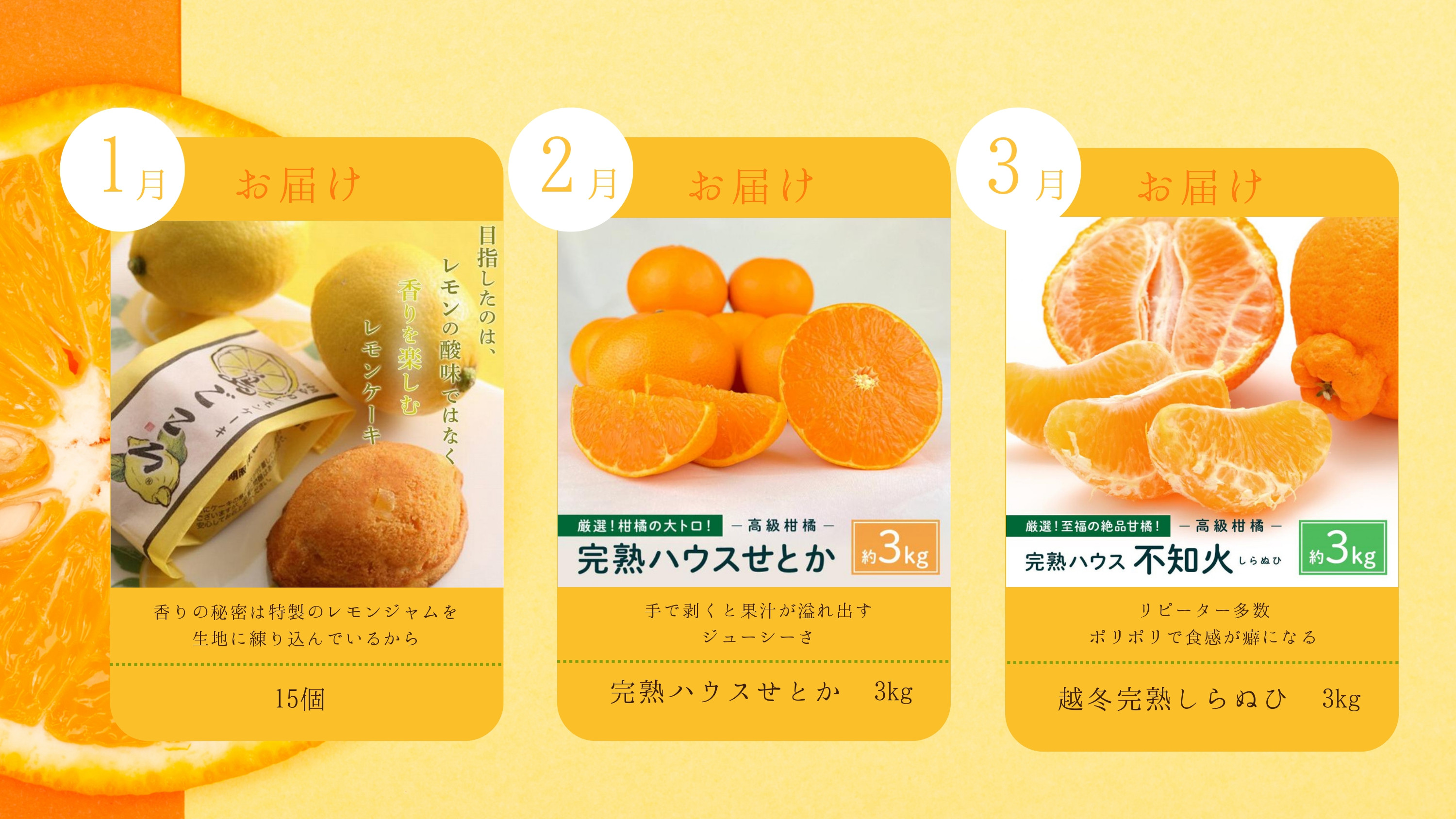 定期便A～集まれ！柑橘好きさんセット～【10月～3月まで毎月発送】