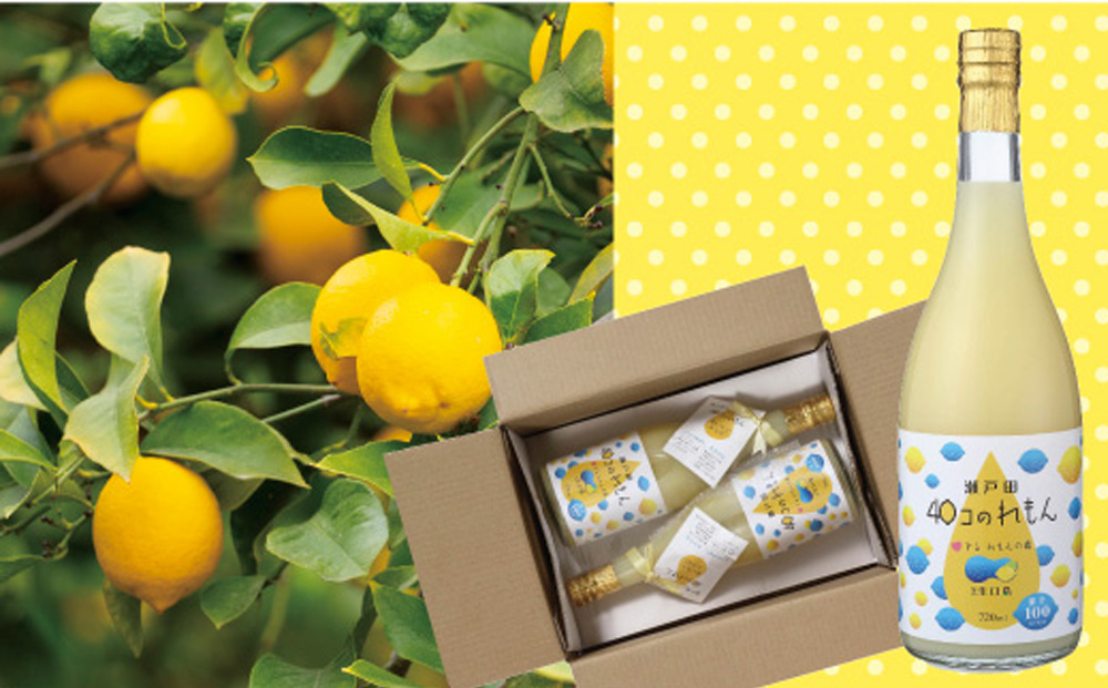 【定期便】＜尾道市瀬戸田町産＞４０コのれもん２本（2ヵ月毎 計6回発送）