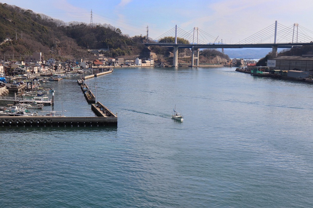 天然真鯛の塩焼き５尾 ～お祝い・お食い初め等におすすめ～【お祝い ギフト お食い初め 尾道市 鯛 塩焼き 真鯛】