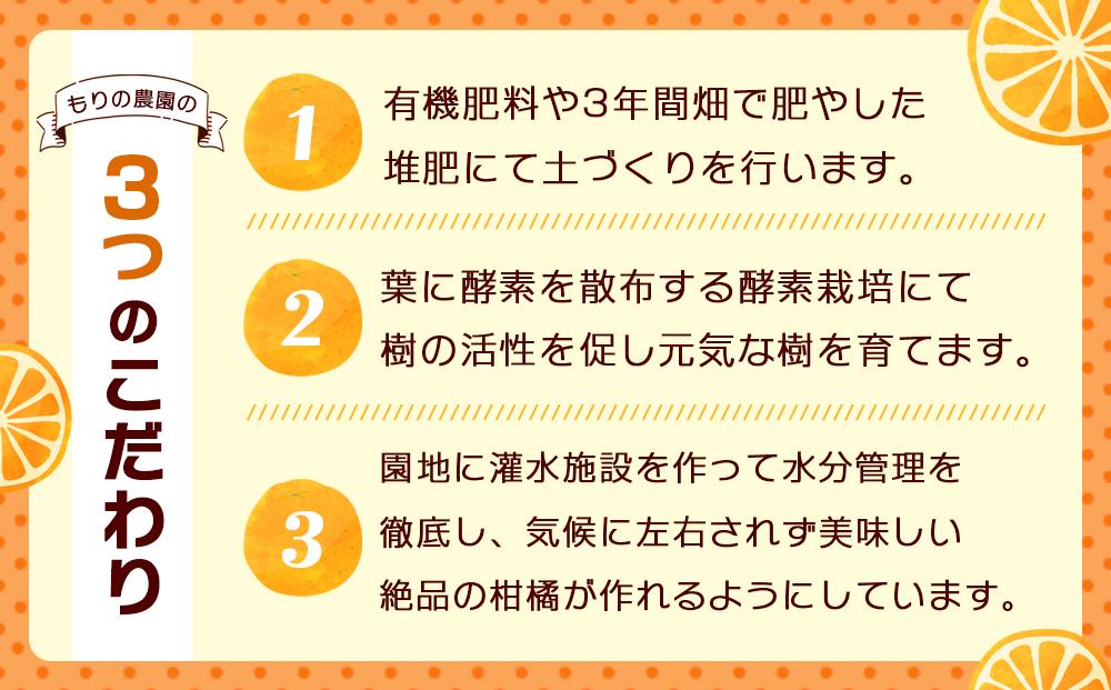 瀬戸田産ハウスみかん（贈答用）約2.3キロ 化粧箱 贈り物 ギフトドルチェみかん フルーツ 柑橘 果物 産直