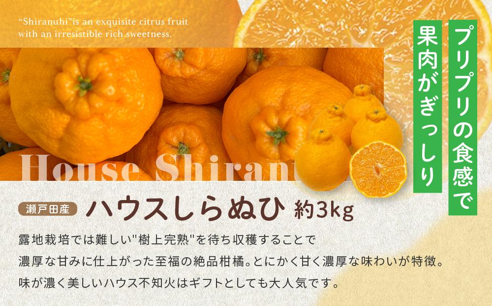 尾道発 厳選！柑橘定期便 全3回 はれひめ ハウスせとか ハウス不知火