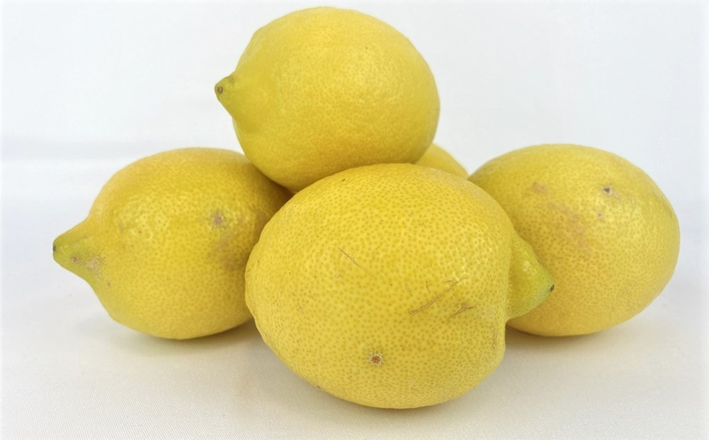 【レモン島から贈る】安心の国産レモン9kg 2026年1月15日より順次発送【瀬戸田 瀬戸田レモン 産地直送 フルーツ 檸檬 ノーワックス 防腐剤 防かび剤不使用】