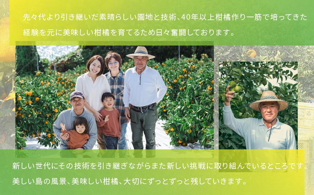 【訳あり】完熟はるか 8kg ドルチェみかん 2026年2月中旬より発送予定