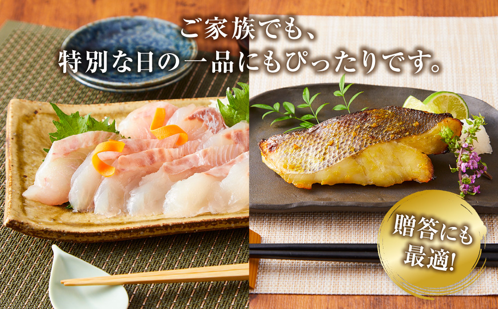 尾道物語セット　(漬魚・一夜干し・お 刺 身)