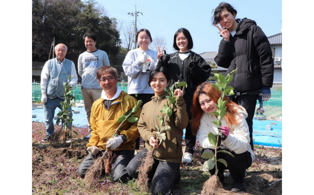 尾道柑橘バラエティーセット 10kg