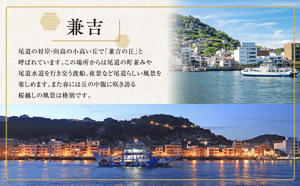 尾道の夜景ちょいとコース1時間