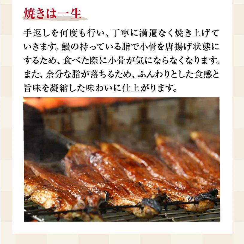 国産 うなぎの蒲焼き 特大 180g  タレ・山椒付［1-2人前］【鰻 魚介類 水産 かば焼き うな重 丑の日 食品 人気 おすすめ 広島県 尾道市】