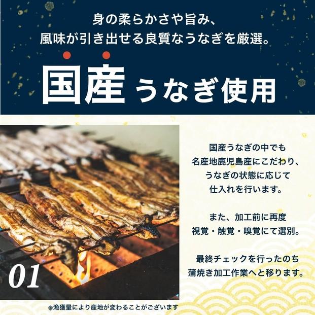 国産 うなぎの蒲焼き 特大 180g×2尾 タレ・山椒付［3-4人前］【鰻 魚介類 水産 かば焼き うな重 丑の日 食品 人気 おすすめ 広島県 尾道市】
