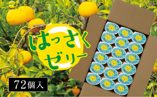 因島のはっさくゼリー72個入り【八朔 はっさく ゼリー 柑橘 みかん オレンジ デザート スイーツ 人気 おすすめ 広島県 尾道市】