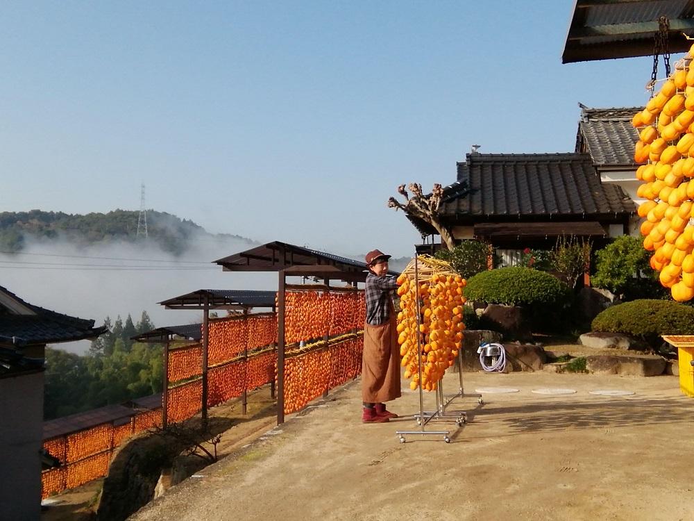 《期間限定》 柿の王様・西条柿の干し柿（特大20個・桐箱入り）【かき 果物 フルーツ 乾物 ほしがき 人気 おすすめ 広島県  尾道市】