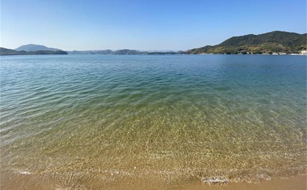 瀬戸内の離島・百島の宿　ヒトツルHitotsuru in Setouchi「seaside」2名様 ご宿泊券（1泊分）セルフキッチンありのプライベート空間【宿泊券 宿泊 旅行 トラベル クーポン ペット可 おすすめ 広島県  尾道市】